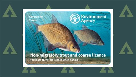 Buy a rod fishing licence: Types of licences and rod limits .